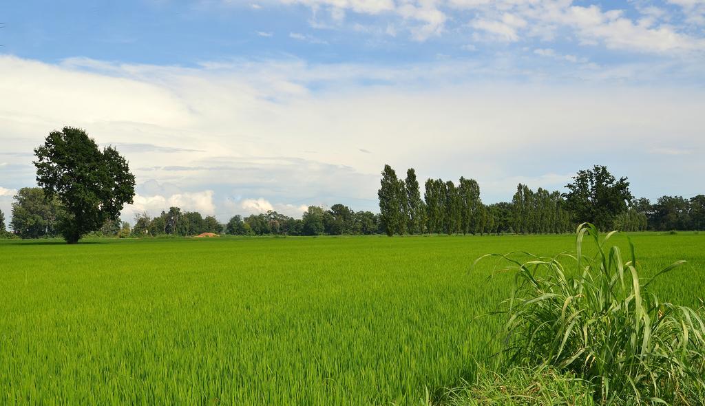 Agriturismo Borgo San Francesco บาซิลิโอ ภายนอก รูปภาพ